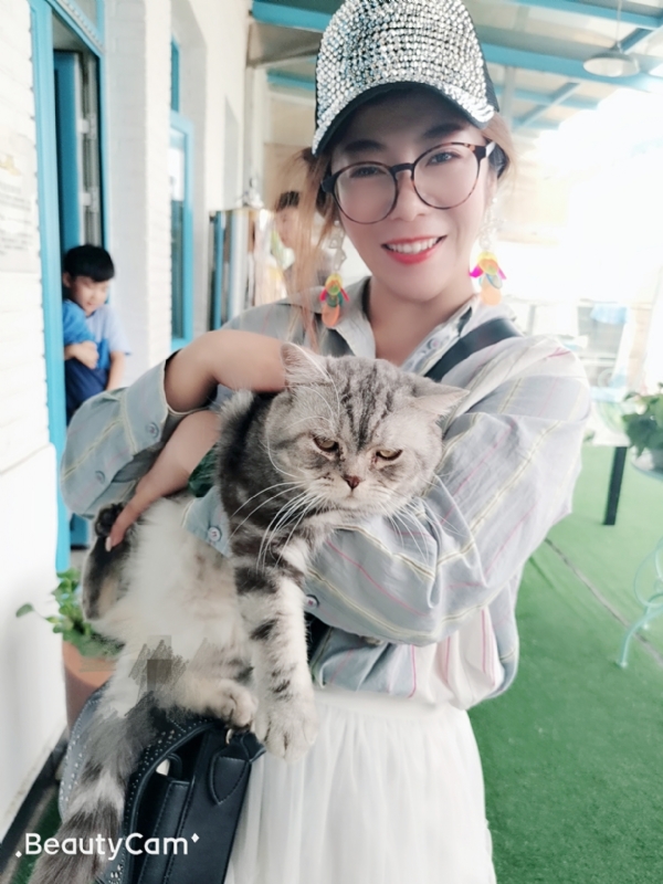 小黑猫的第一张照片--盘锦中老年相亲网